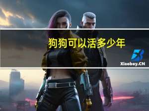 狗狗可以活多少年