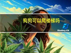 狗狗可以爬楼梯吗