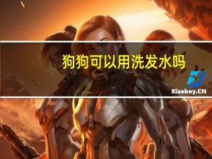 狗狗可以用洗发水吗