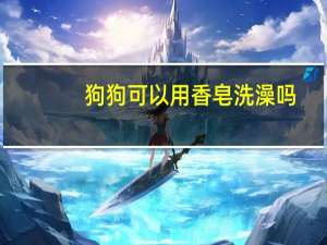 狗狗可以用香皂洗澡吗