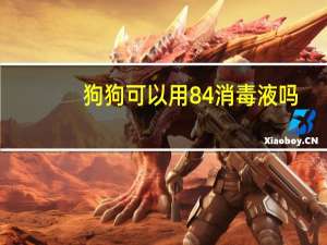 狗狗可以用84消毒液吗