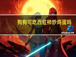 狗狗可吃西红柿炒鸡蛋吗
