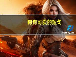 狗狗可爱的短句