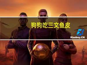 狗狗吃三文鱼皮