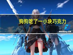 狗狗吃了一小块巧克力