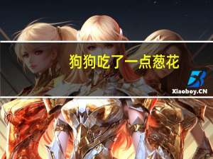 狗狗吃了一点葱花