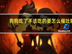 狗狗吃了不该吃的要怎么催吐啊
