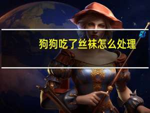 狗狗吃了丝袜怎么处理