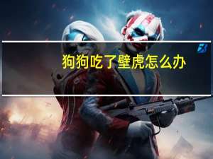 狗狗吃了壁虎怎么办
