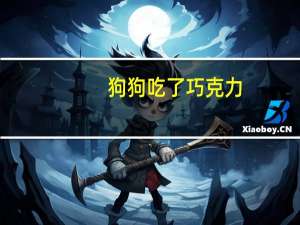 狗狗吃了巧克力