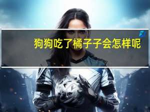 狗狗吃了橘子子会怎样呢