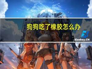 狗狗吃了橡胶怎么办