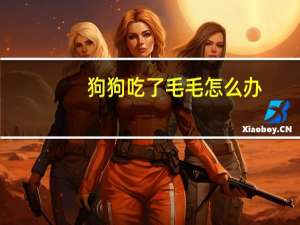 狗狗吃了毛毛怎么办