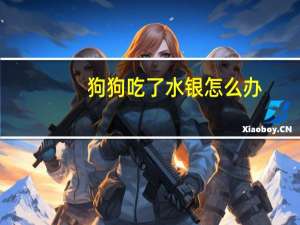 狗狗吃了水银怎么办