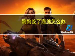 狗狗吃了海绵怎么办