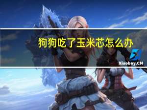 狗狗吃了玉米芯怎么办
