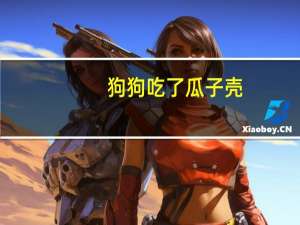 狗狗吃了瓜子壳