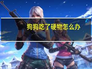 狗狗吃了硬物怎么办