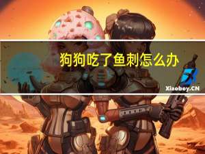 狗狗吃了鱼刺怎么办