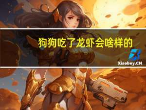 狗狗吃了龙虾会啥样的