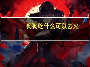 狗狗吃什么可以去火