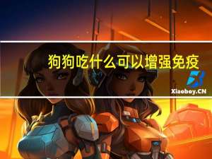 狗狗吃什么可以增强免疫