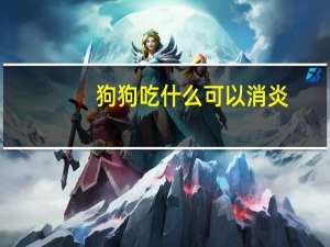 狗狗吃什么可以消炎