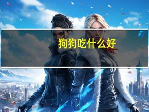狗狗吃什么好