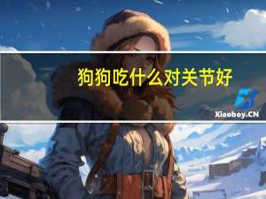 狗狗吃什么对关节好