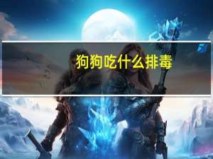 狗狗吃什么排毒