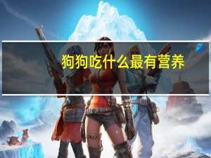 狗狗吃什么最有营养