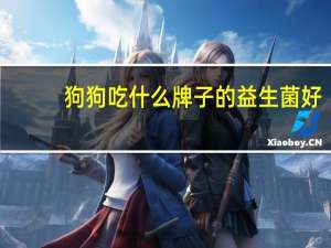 狗狗吃什么牌子的益生菌好