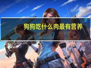 狗狗吃什么肉最有营养