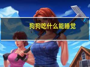狗狗吃什么能睡觉