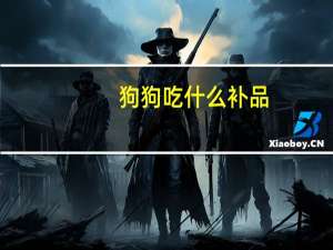 狗狗吃什么补品