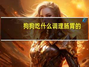 狗狗吃什么调理肠胃的