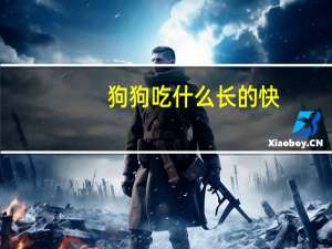 狗狗吃什么长的快