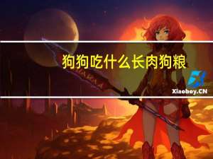 狗狗吃什么长肉狗粮