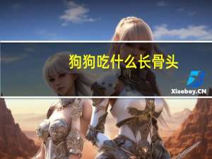 狗狗吃什么长骨头