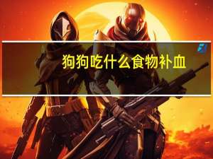 狗狗吃什么食物补血