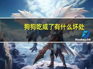 狗狗吃咸了有什么坏处