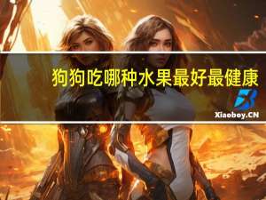 狗狗吃哪种水果最好最健康