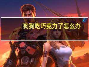 狗狗吃巧克力了怎么办