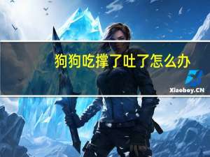 狗狗吃撑了吐了怎么办