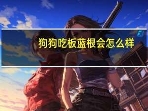 狗狗吃板蓝根会怎么样