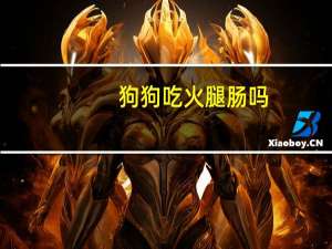 狗狗吃火腿肠吗
