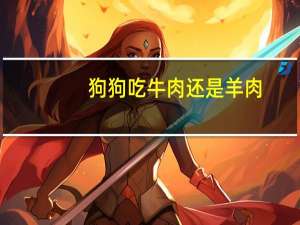 狗狗吃牛肉还是羊肉