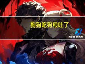 狗狗吃狗粮吐了
