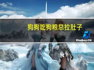 狗狗吃狗粮总拉肚子