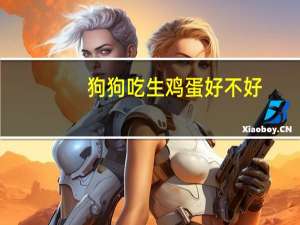狗狗吃生鸡蛋好不好